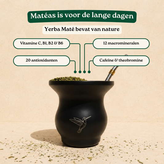 Totaalset - Matéas Yerba Maté (500g) & Beker + Rietje & Thermosfles