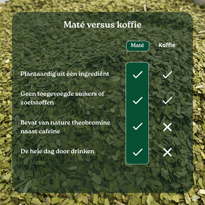 Totaalset - Matéas Yerba Maté (500g) & Beker + Rietje & Thermosfles
